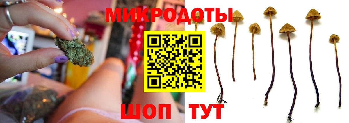 Галлюциногенные грибы Psilocybine cubensis Чехов